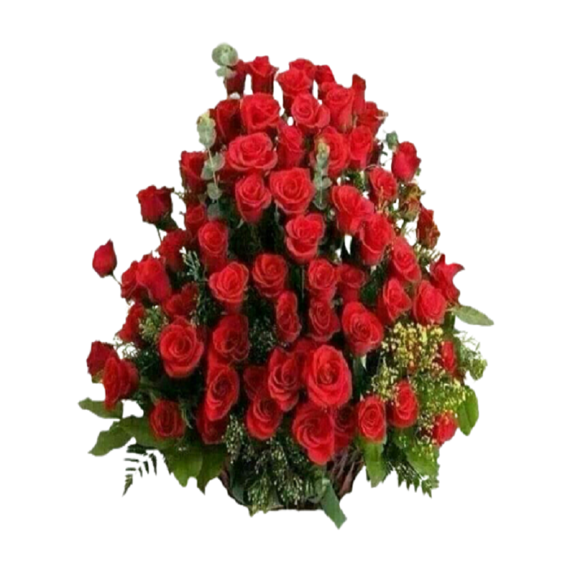 Roses are beautiful